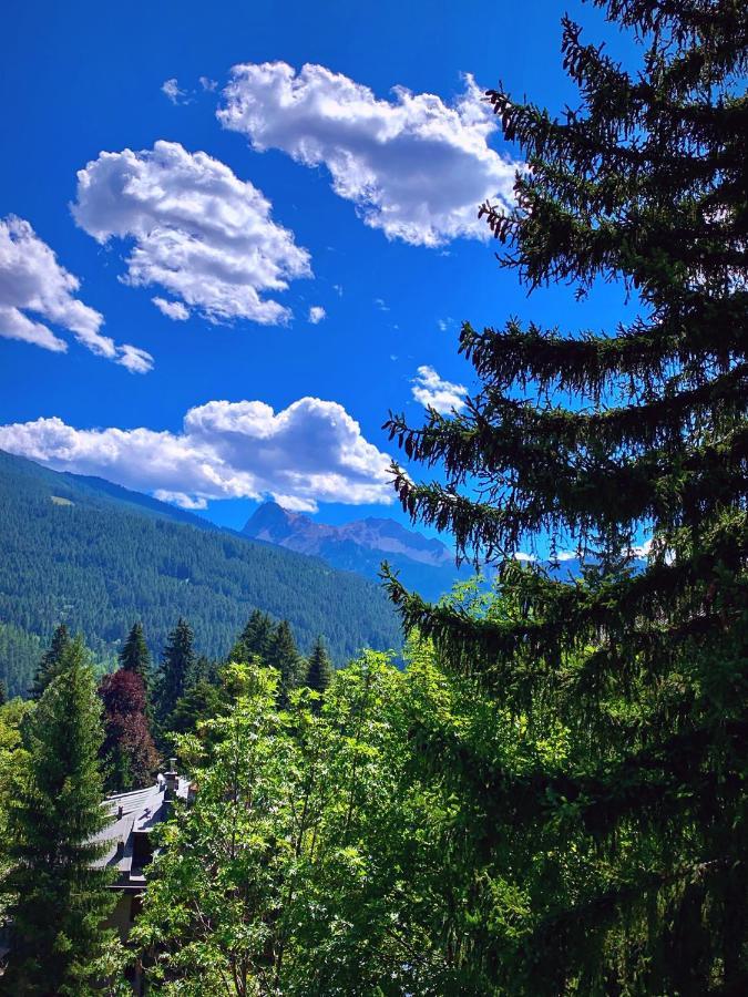 Elegante Trilocale Con Garage, Terrazzo E Vista Montagne Daire Bardonecchia Dış mekan fotoğraf